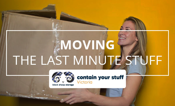 moving, girl, box