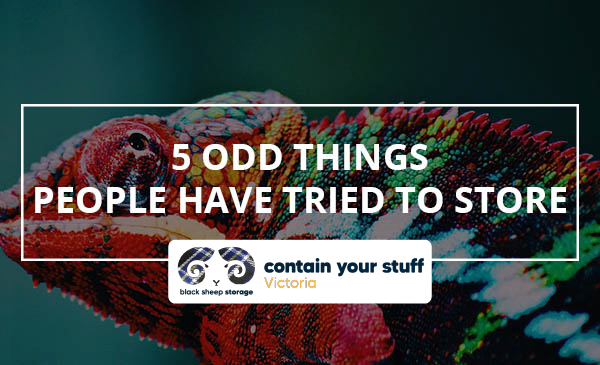 storage items, odd