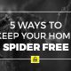 spiders, home. tips