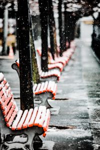 snow, bench, winter