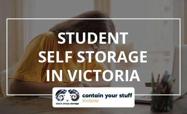 student, desk, self storage